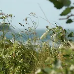 Casa vacanze Ferienbauernhof Liesenberg Jagdreihenhaus Hase Fehmarn