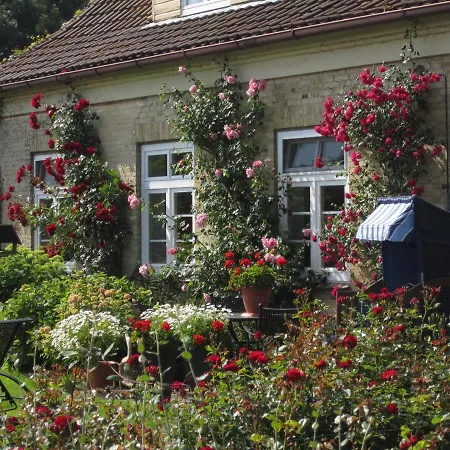 Ferienbauernhof Liesenberg Jagdreihenhaus Hase بيت للعطل فيهمارن