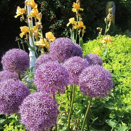 Ferienbauernhof Liesenberg Jagdreihenhaus Hase *