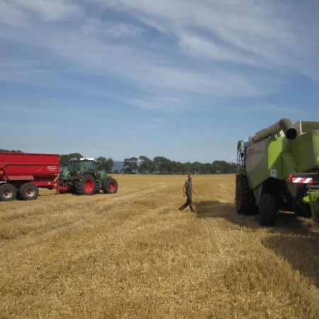 Ferienbauernhof Liesenberg Jagdreihenhaus Hase * فيهمارن