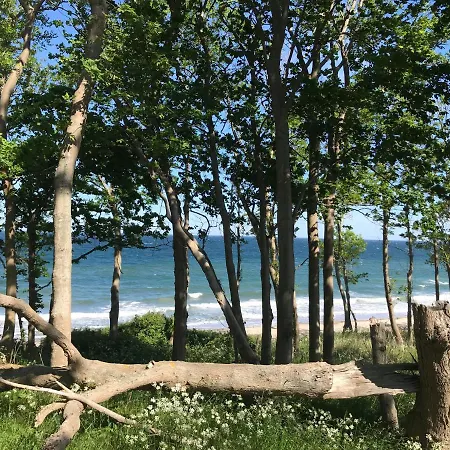 Ferienbauernhof Liesenberg Jagdreihenhaus Hase فيهمارن