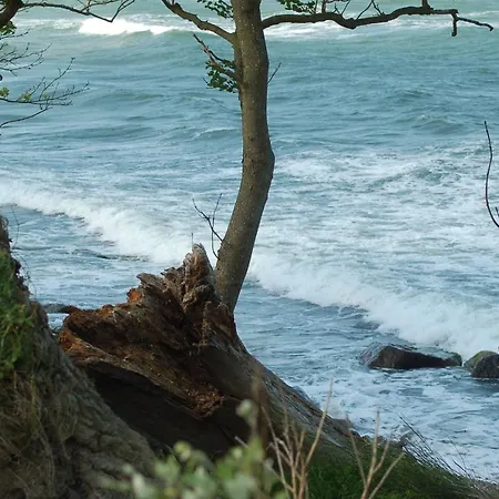 Ferienbauernhof Liesenberg Jagdreihenhaus Hase Vakantiehuis