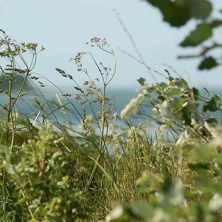 Vakantiehuis Ferienbauernhof Liesenberg Jagdreihenhaus Hase Fehmarn