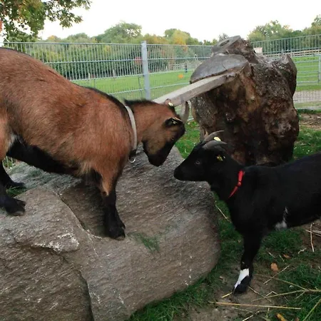 Ferienbauernhof Liesenberg Jagdreihenhaus Hase Fehmarn