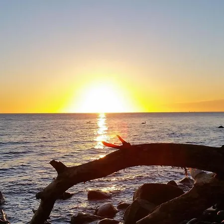 Ferienbauernhof Liesenberg Jagdreihenhaus Hase بيت للعطل *